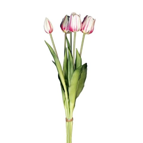 BUSH TULIPANO X5 REAL TOUCH CREMA ROSA