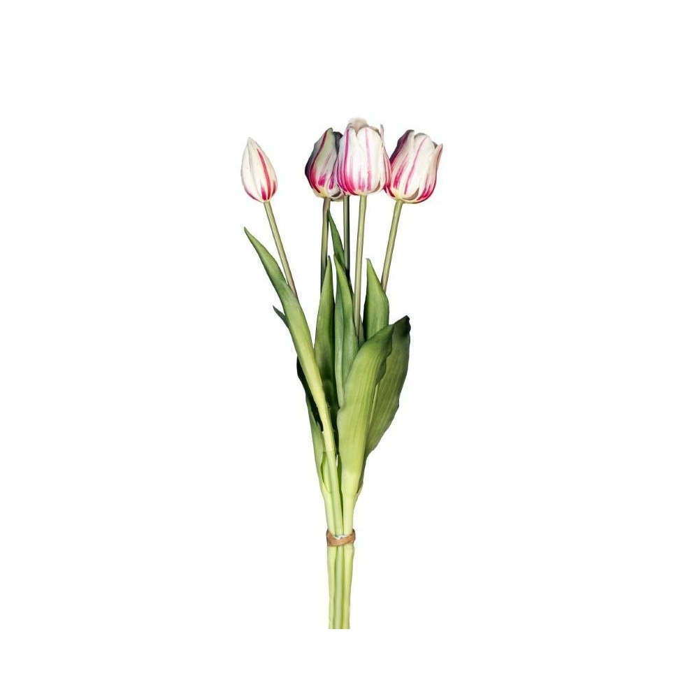 BUSH TULIPANO X5 REAL TOUCH CREMA ROSA