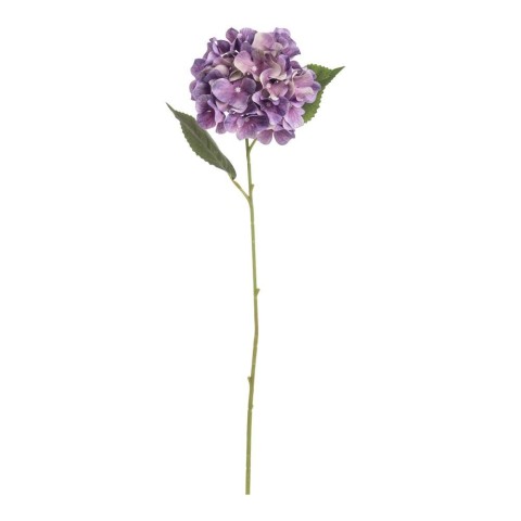 ORTENSIA SINGOLA LAVANDA 2