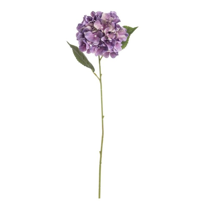 ORTENSIA SINGOLA LAVANDA