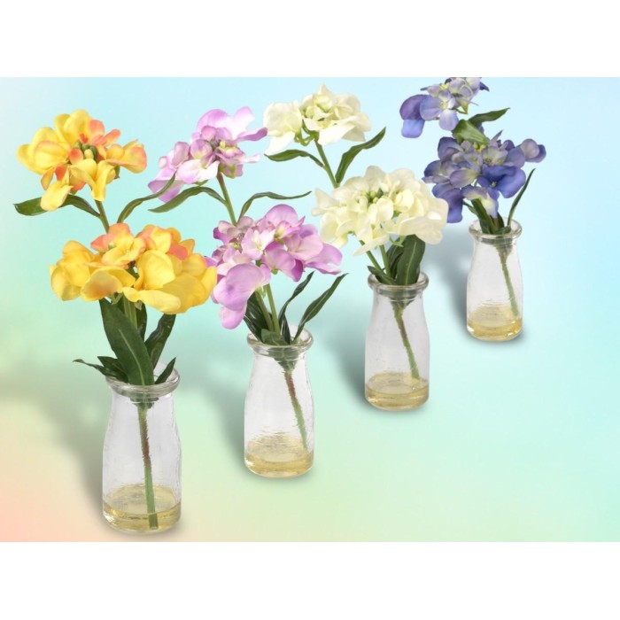 ORTENSIA IN BOTTIGLIA 6 COLORI ASSORTITI