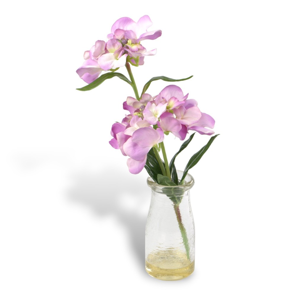 ORTENSIA IN BOTTIGLIA 6 COLORI ASSORTITI