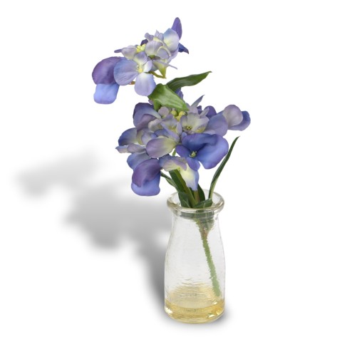 ORTENSIA IN BOTTIGLIA 6 COLORI ASSORTITI