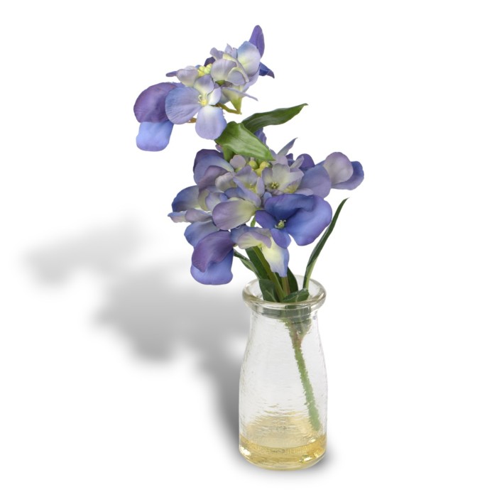 ORTENSIA IN BOTTIGLIA 6 COLORI ASSORTITI