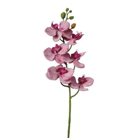 RAMO ORCHIDEA DARK PINK