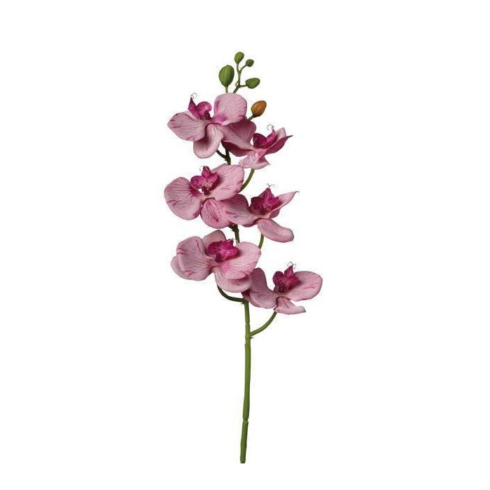 RAMO ORCHIDEA DARK PINK