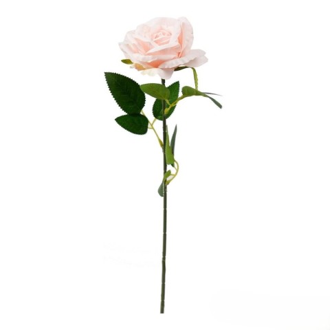 ROSA LIVIA CM.61 ROSA CHIARO