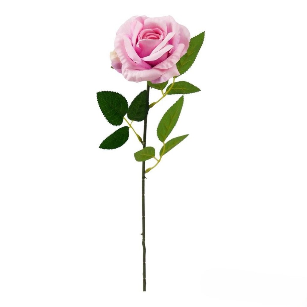 ROSA LIVIA CM.61 ROSA FUXIA