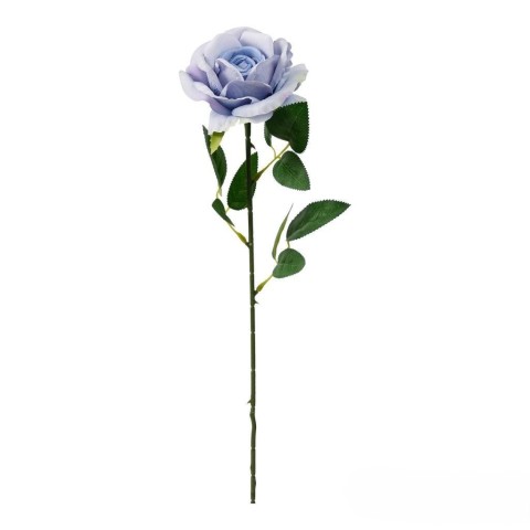 ROSA LIVIA CM.61 AZZURRO POLVERE