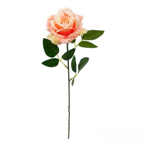 ROSA LIVIA CM.61 SALMONE 2