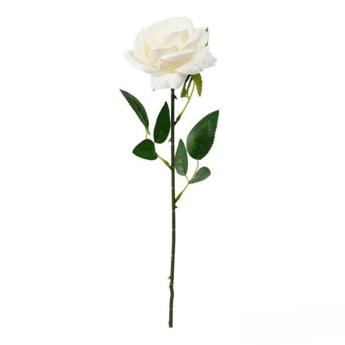 ROSA LIVIA CM.61 BIANCO
