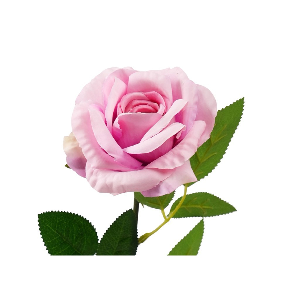 ROSA LIVIA CM.61 AZZURRO POLVERE