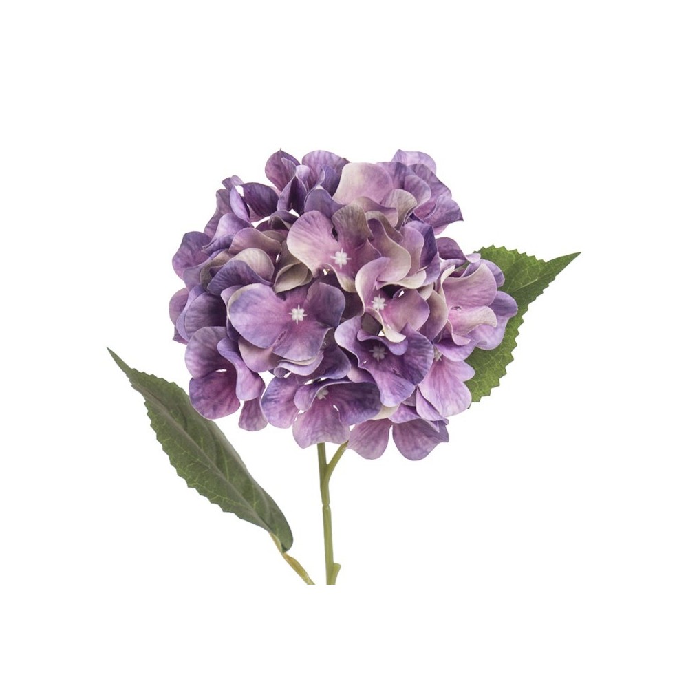 ORTENSIA SINGOLA LAVANDA
