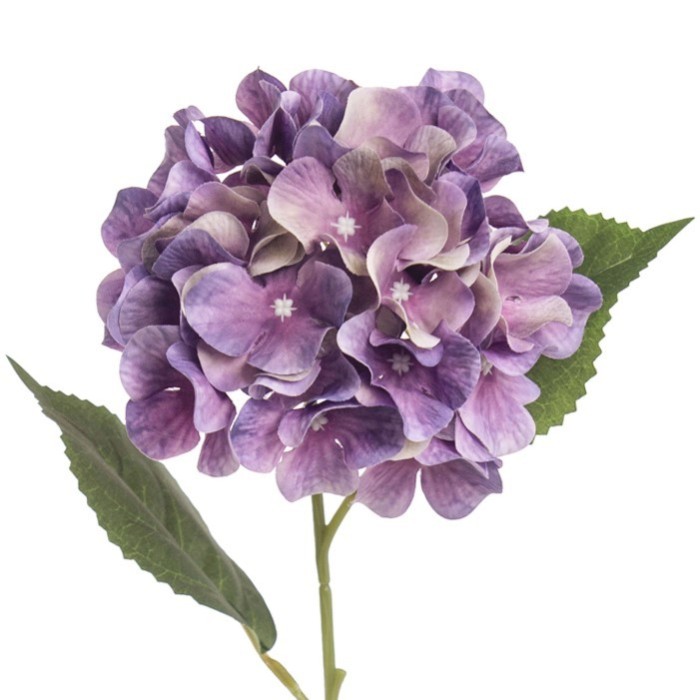 ORTENSIA SINGOLA LAVANDA