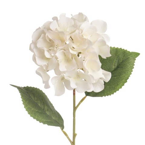 ORTENSIA SINGOLA BIANCO