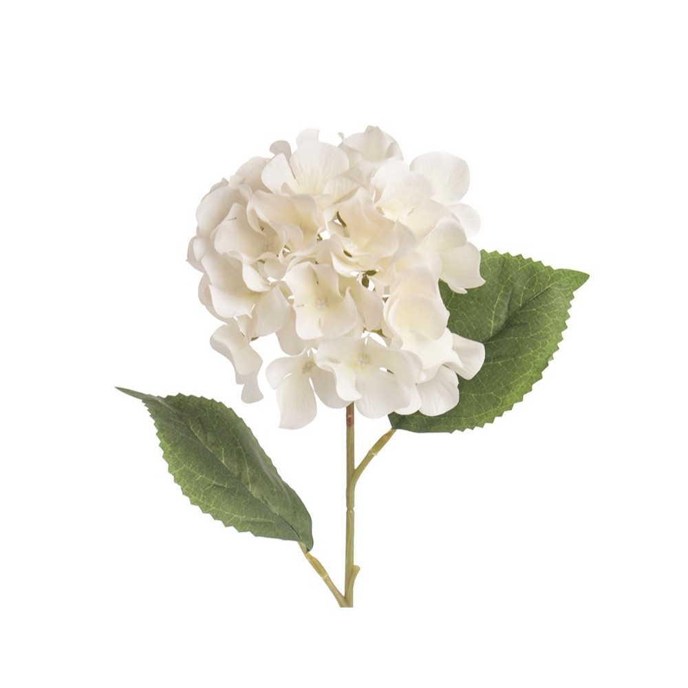 ORTENSIA SINGOLA BIANCO