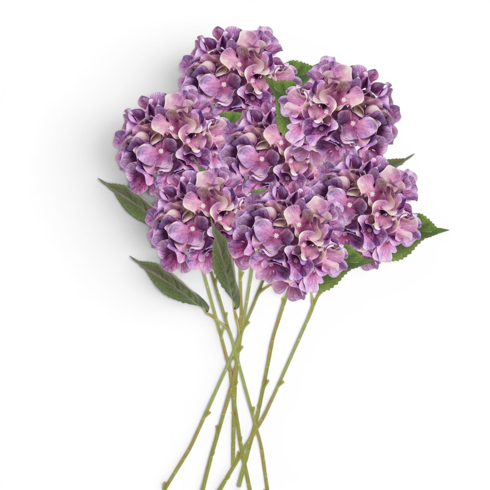 ORTENSIA SINGOLA LAVANDA