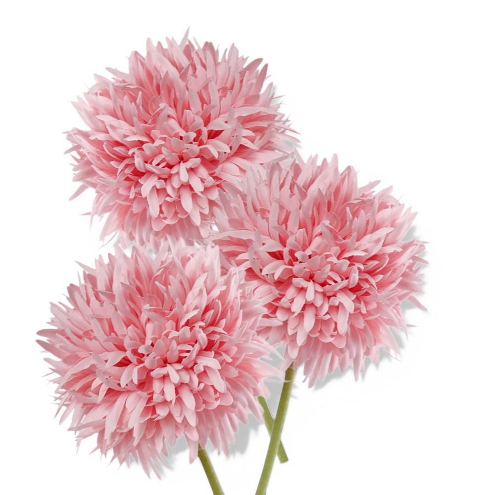ALLIUM CM.45 PINK
