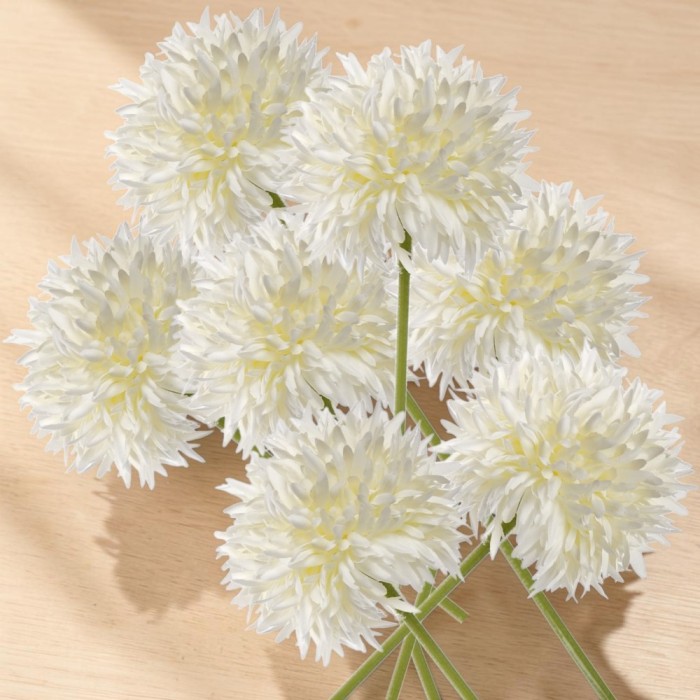 ALLIUM CM.45 WHITE