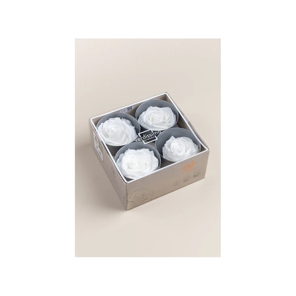 SCATOLA 4 ROSE STABILIZZATE D.6.5/8.5 PREMIUM BIANCO