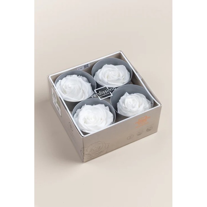 SCATOLA 4 ROSE STABILIZZATE D.6.5/8.5 PREMIUM BIANCO