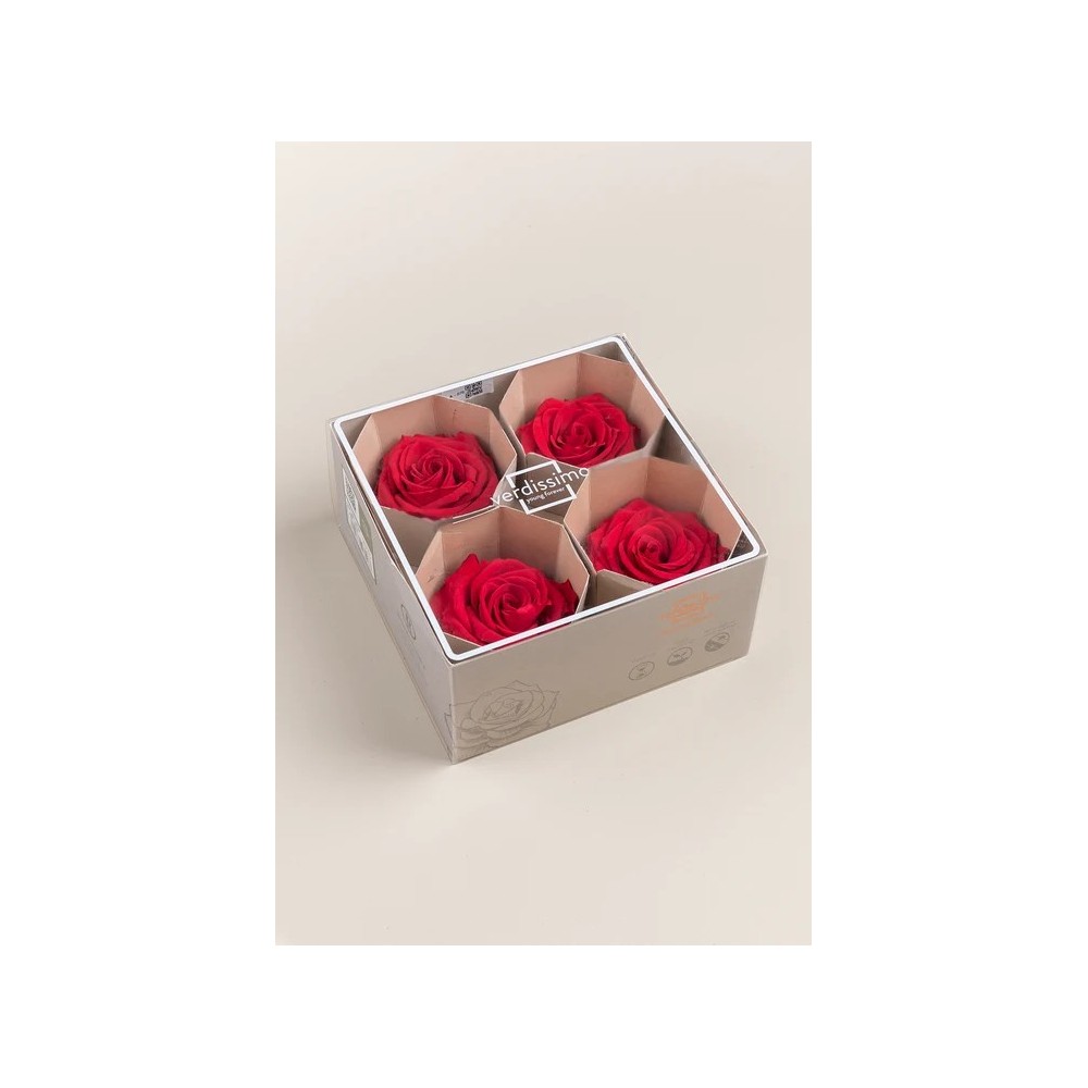 SCATOLA 4 ROSE ROSSO STABILIZZATE PREMIUM D.6.5/8.5