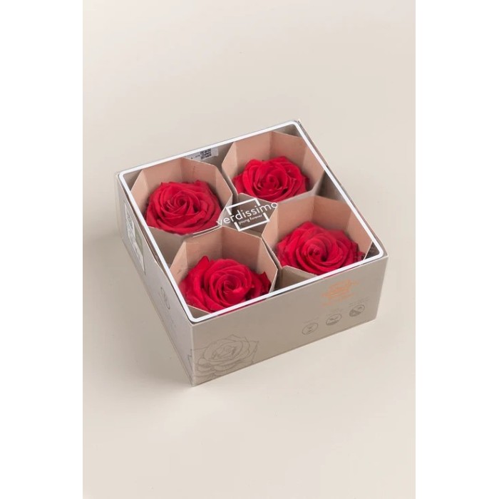 SCATOLA 4 ROSE ROSSO STABILIZZATE PREMIUM D.6.5/8.5