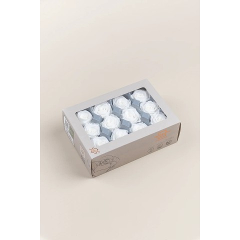 SCATOLA 12 ROSE MINI STABILIZZATE WHITE D.3.5/4.5 2