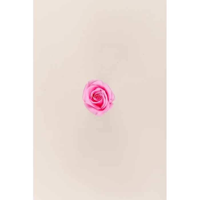 SCATOLA 12 ROSE MINI STABILIZZATE PINK D.3.5/4.5