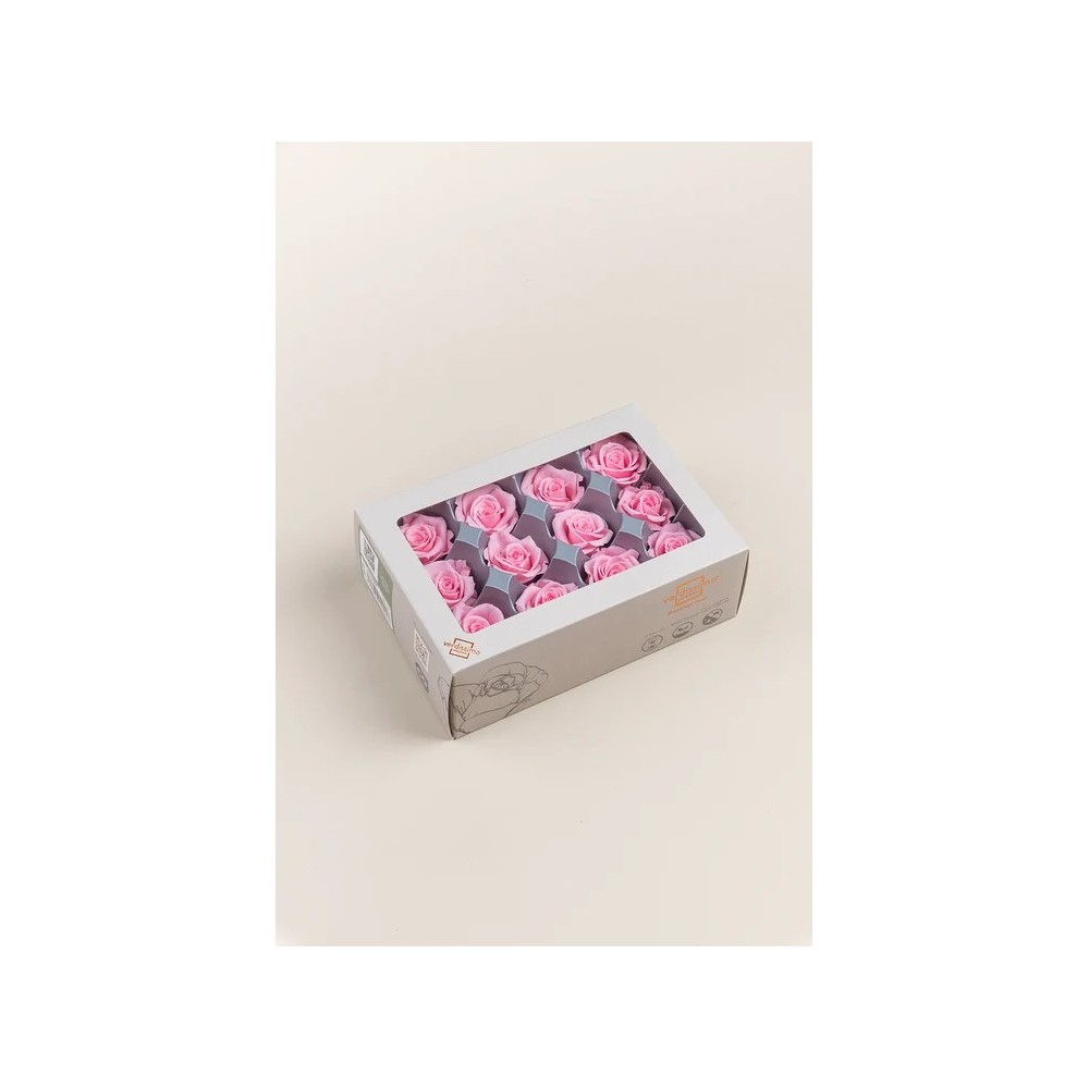 SCATOLA 12 ROSE MINI STABILIZZATE PINK D.3.5/4.5