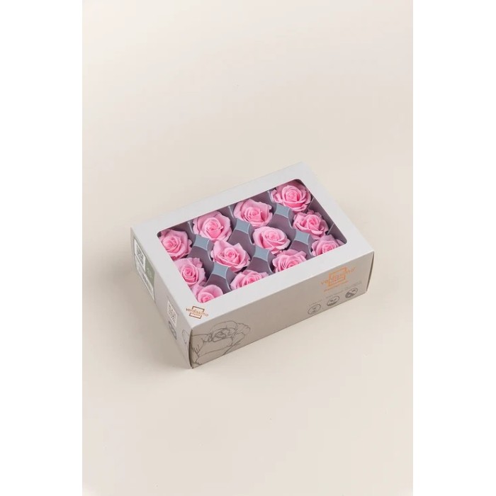SCATOLA 12 ROSE MINI STABILIZZATE PINK D.3.5/4.5