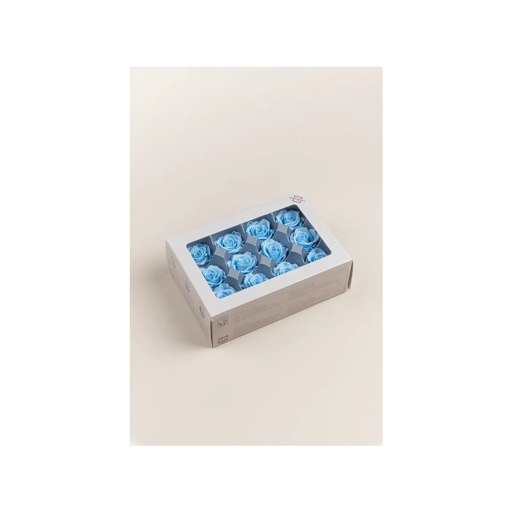 SCATOLA 12 ROSE MINI STABILIZZATE LIGHT BLU D.3.5/4.5