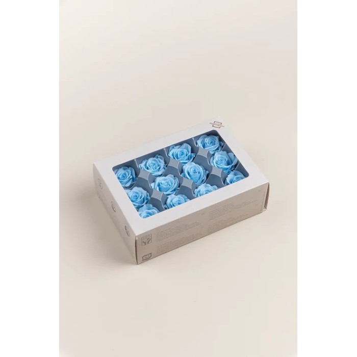 SCATOLA 12 ROSE MINI STABILIZZATE LIGHT BLU D.3.5/4.5