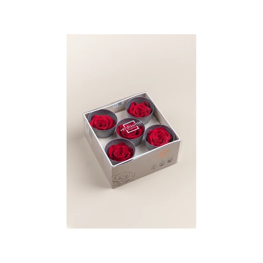 SCATOLA 5 ROSE QUEEN STABILIZZATE RED D.6.3/7.3