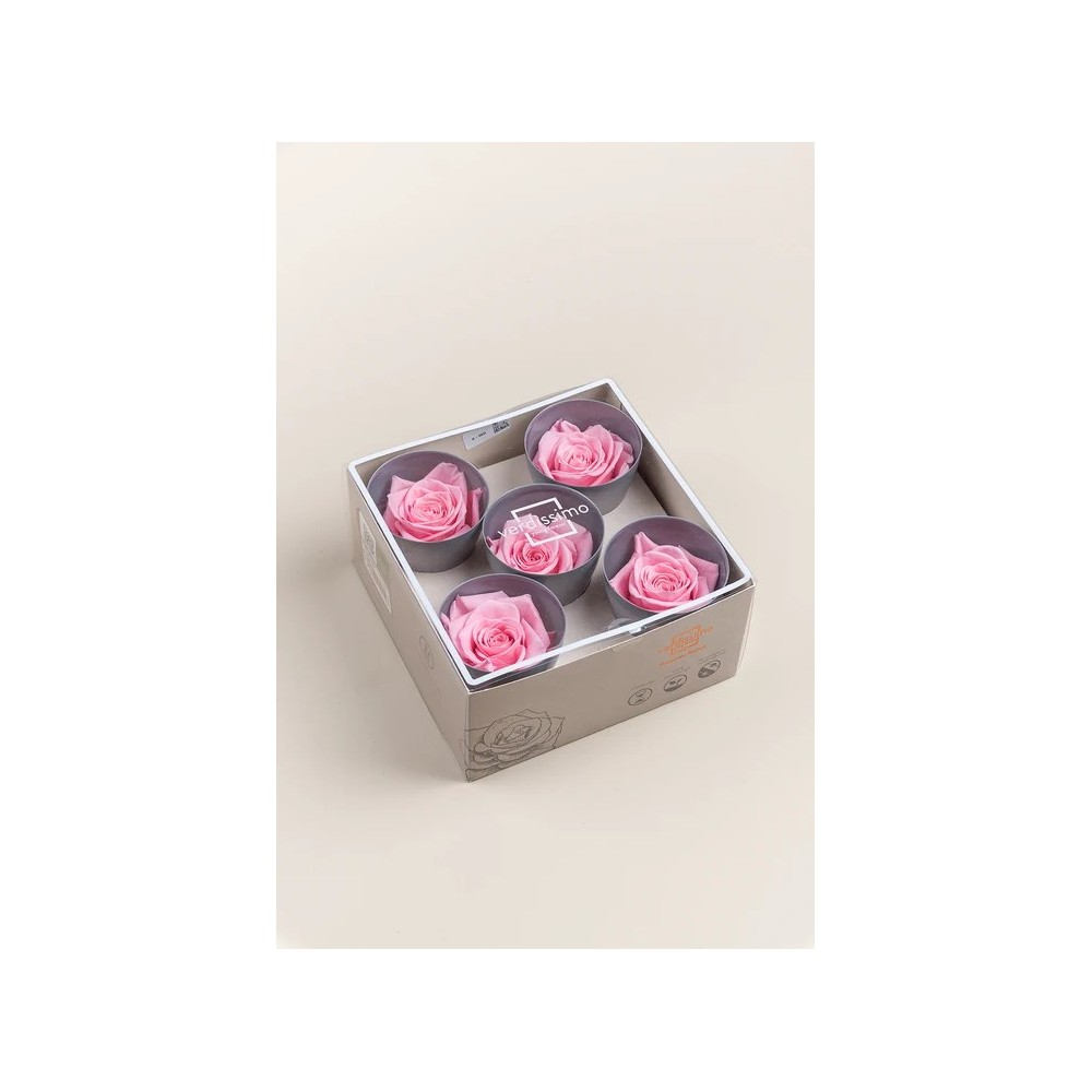 ROSA 5 PEZZI QUEEN STABILIZZATE PINK PASTEL D6.3/7.3