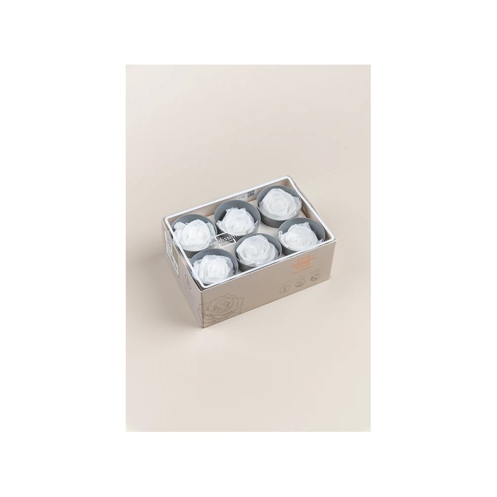 ROSA STANDARD BOX 6 STABILIZZATE WHITE D.5/5.5