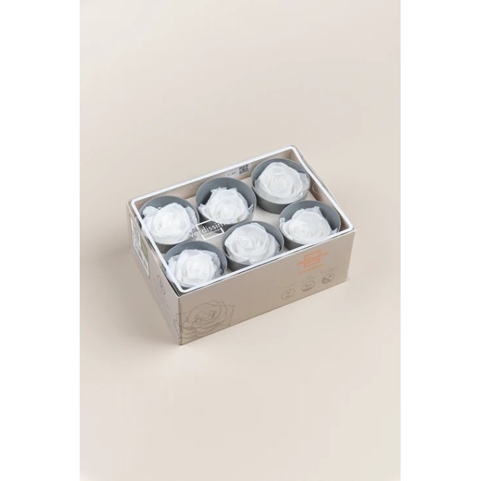ROSA STANDARD BOX 6 STABILIZZATE WHITE D.5/5.5