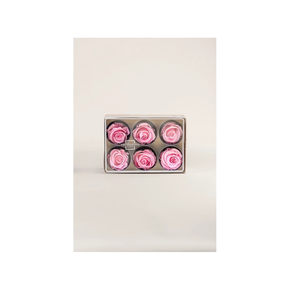 ROSA STANDARD BOX 6 STABILIZZATE ROSA D.5/5.5
