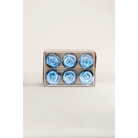 ROSA STANDARD BOX 6 STABILIZZATE LIGHT BLUE D.5/5.5 2