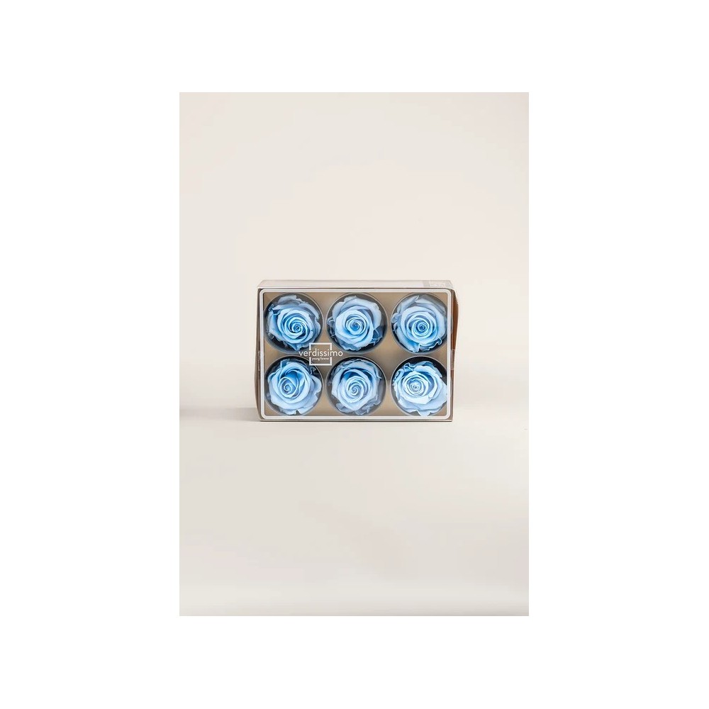 ROSA STANDARD BOX 6 STABILIZZATE LIGHT BLUE D.5/5.5