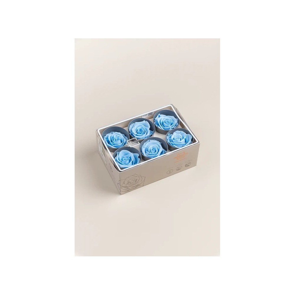 ROSA STANDARD BOX 6 STABILIZZATE LIGHT BLUE D.5/5.5