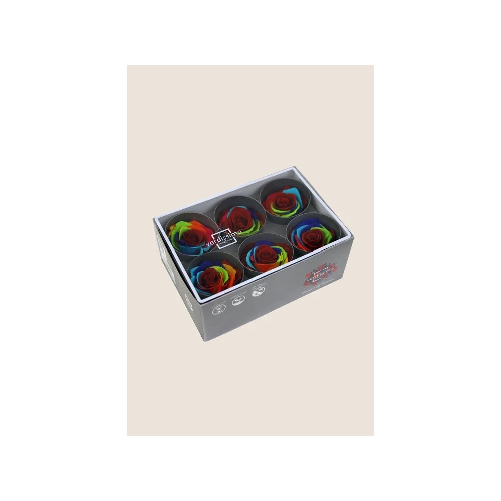 ROSA STANDARD BOX 6 STABILIZZATE ARCOBALENO D.5/5.5