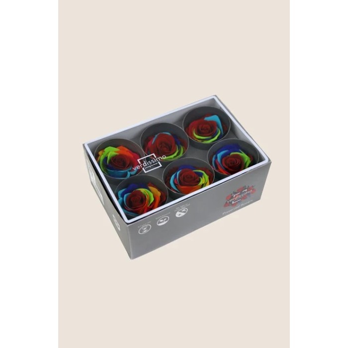 ROSA STANDARD BOX 6 STABILIZZATE ARCOBALENO D.5/5.5