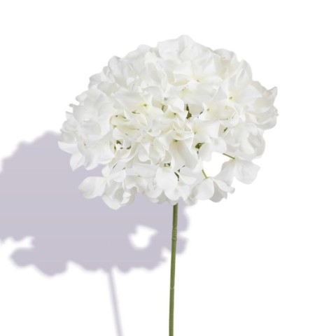 ORTENSIA SINGOLA CM.76 BIANCO