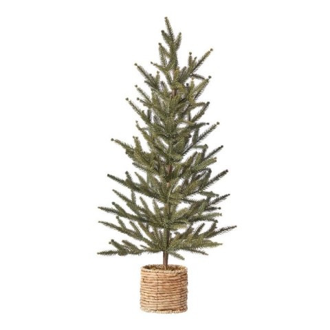 PINETTO CANADIAN CON CESTO CM8