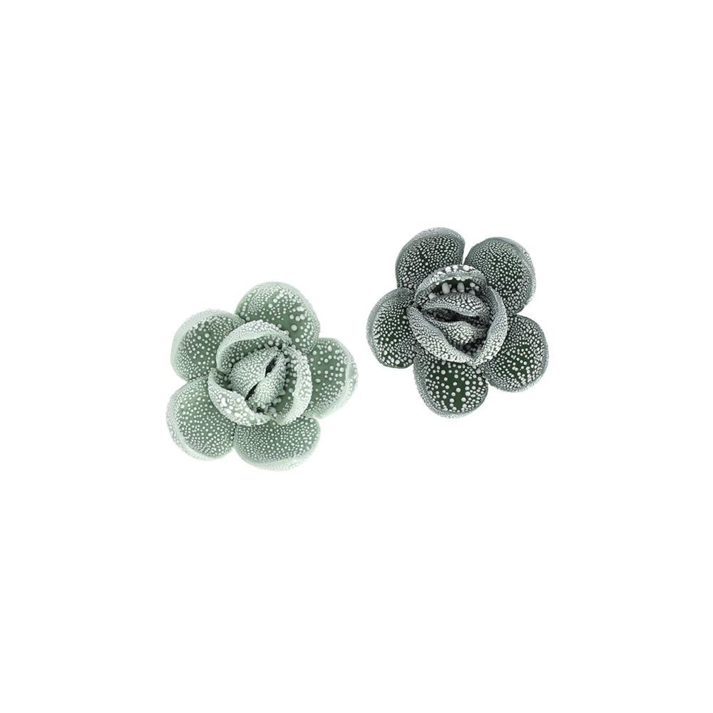 APPLICAZIONE SUCCULENTE VERDE 2 COLORI ASSORTITI GOCCE DI RUGIAD