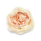 PICK ROSA CABBAGE SAND