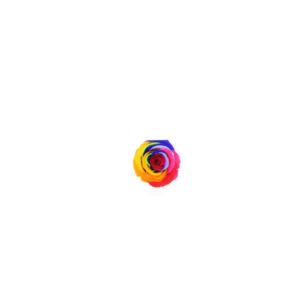 ROSA STANDARD BOX 6 STABILIZZATE ARCOBALENO D.5/5.5