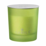 CANDELA PROFUMATA GRANDE ALOE VERA H8XD7.5