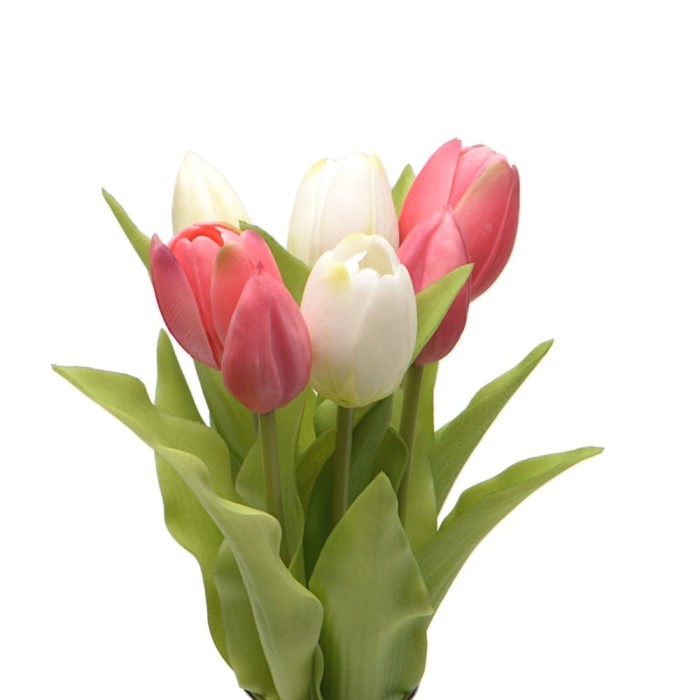 BUSH TULIPANI X7 30CM MIX ROSA BIANCO